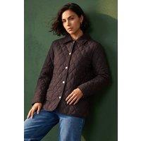 Roman Women's Quilted Collar Jacket in Chocolate | Size: 10