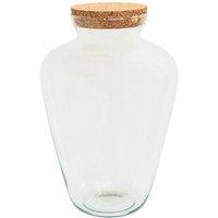 Ivyline Teardrop Cork Lid Terrarium Large H38.5cm D25cm in Clear | Size: Medium