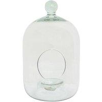 Ivyline Glass Bell Jar Open Terrarium Large H35cm D19.5cm in Clear | Size: Medium