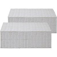 Arpan Resin Woven Under Bed Storage Box, Chest Shelf Toy Clothes Basket With Lid - White (Set of 2 - Large) | Size: Large
