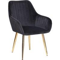 Hygrad Built to Survive Set of 2 Velvet Dining Chair Padded Seat Gold Legs Kitchen Home Office Lounge Chair in Black