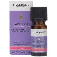 Tisserand Aromatherapy Ethically Harvested Lavender Essential Oil in Clear