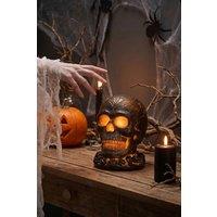 Living and Home Battery-Operated Halloween Lava Skull Flame Light in Black