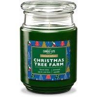 Candle-Lite Christmas Tree Farm Scented Candle Jar 18oz in Green
