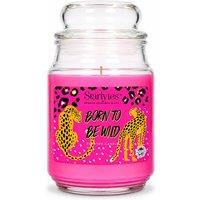 Starlytes Born to Be Wild Scented Candle Jar 18oz in Pink