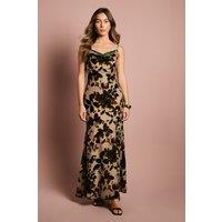 Coast Women's Sleeveless Strappy Devour Slip Dress With Lace Insert in Mocha | Size: 12