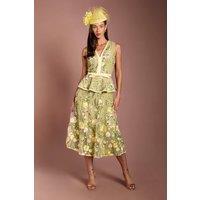 Coast Women's Lisa Tan Embroidered Mesh Midi Dress in Olive | Size: 10