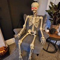 Samuel Alexander 5ft Full Body Skeleton Decoration with Movable Joints & LED Eyes in White
