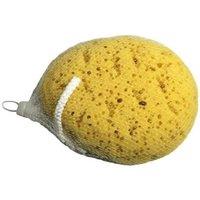 Blue Canyon Body Sponge in Yellow