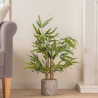 Scottish Everlastings Ltd 60cm Tabletop Bamboo in Cement Pot in Green