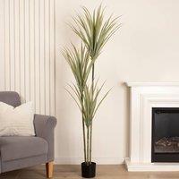 Scottish Everlastings Ltd 160cm Yucca Tree in Green