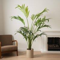 Scottish Everlastings Ltd 190cm Real Touch Palm Tree in Green