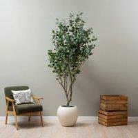 Scottish Everlastings Ltd 270cm Eucalyptus Tree in Green