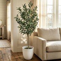 CASSILANDO Lifelike Large Olive Tree 7FT/210cm Artificial Plant in Green