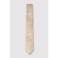 Antique Rogue Men's Paisley Tie in Gold