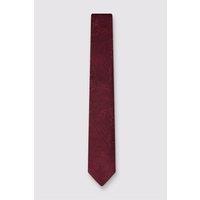 Antique Rogue Men's Paisley Tie in Burgundy