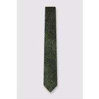 Antique Rogue Men's Paisley Tie in Dark Green