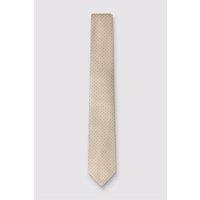 Antique Rogue Men's Patterned Tie in Ecru