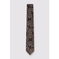 Ted Baker Men's Paisley Tie in Chocolate