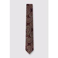 Ted Baker Men's Paisley Tie in Maroon