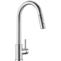 Appaso Pull-Out Kitchen Faucet - S304 Stainless Steel, 360 Swivel Sprayer, 2-Mode High Pressure Tap in Silver | Size: 0.6m2