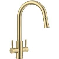 Appaso Gold Kitchen Tap, Monobloc Sink Mixer Taps 1Hole with Pull Out Sprayer
