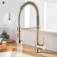 EONLION Modern Gold Kitchen Mixer Taps Pull out Spray | Size: 1000mm 2000mm