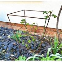 Poppyforge Square Peony Plant Support (Pack of 2) - Steel in Copper