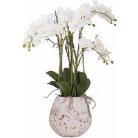 Lemon Pavilion Furniture and Decor Large Stone Potted Orchid w/ Root Artificial Flower, L60 x W60 x H76cm in White
