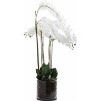 Lemon Pavilion Furniture and Decor Large Tall Orchid in Glass Pot Artificial Flower - L57 x W57 x H126 cm in White
