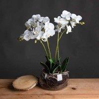 Lemon Pavilion Furniture and Decor Orchid in Glass Pot Artificial Flower - L21 x W21 x H61 cm - White