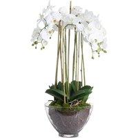 Lemon Pavilion Furniture and Decor Large Orchid in Glass Pot Artificial Flower, L70 x W70 x H88 cm, White