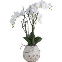 Lemon Pavilion Furniture and Decor Orchid in Stone Pot Artificial Flower - L46 x W46 x H70 cm - White