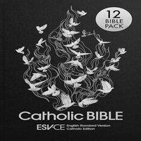 SPCK ESV-CE Bibles ESV-CE Catholic Bible. The Official Liturgical Bible for England