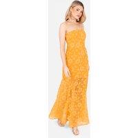 Anaya with Love Women's Floral Burnout Bandeau Maxi Dress in Orange | Size: 14