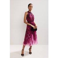 Phase Eight Women's Bethany Floral Print Dress in Fuchsia | Size: 22