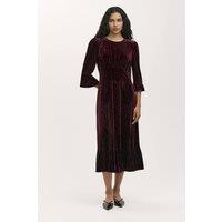 Finery London Women's Petite Scarlett Velvet Midi Tea Dress in Wine | Size: 12