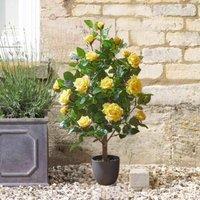 Marco Paul 80cm Artificial Rose Plant - Yellow