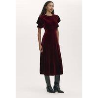 Finery London Women's Mela Velvet Midi Tea Dress in Wine | Size: 18