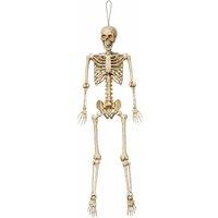 Samuel Alexander 5ft Posable Full Halloween Skeleton Decoration with Movable Joints in White