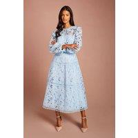 Coast Women's Petite Lace Panelled Long Sleeve Dress in Light Blue | Size: 10