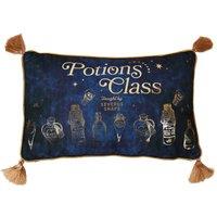 Warner Bros Harry Potter Alumni Velvet Cushion - Potions Class in Navy