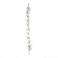 KDMD Cream Poinsettia Garland L180cm in Off-White