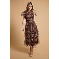 Oasis Women's Printed Tulle Maxi Dress in Brown | Size: 10