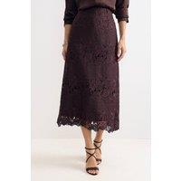 Phase Eight Women's Suzie Lace Skirt in Aubergine | Size: 8