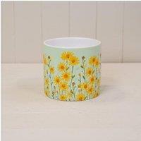 KDMD Yellow & Multicolour Daisy Field Pot - 13mm
