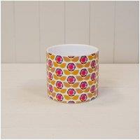 KDMD Multicolour Flower Power Pot - 13mm