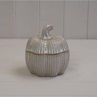 KDMD Ceramic Off-White Indoor Plant Pot 13cm