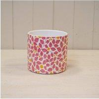 KDMD Pink Versatile Leaf Pot - 13mm