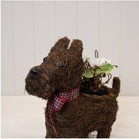 KDMD Scottie Dog Planter with Tartan Ribbon in Dark Brown